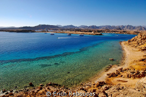 My backyard - All the colors of the Red Sea by Erich Reboucas 